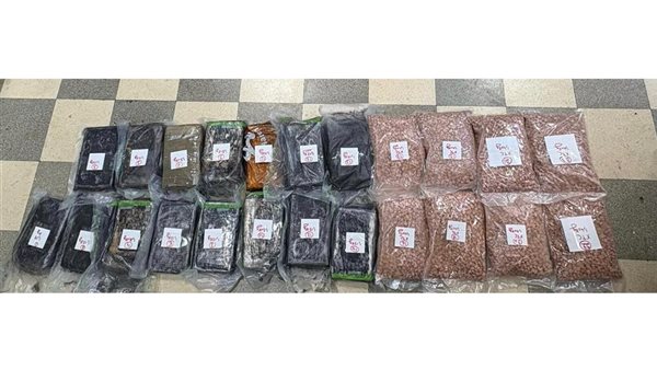 صيدا اون لاين