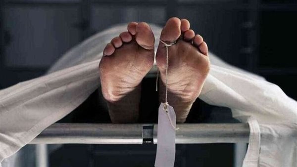 صيدا اون لاين