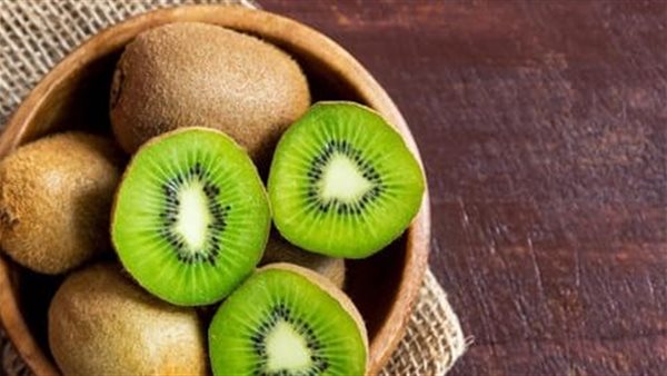 صيدا اون لاين