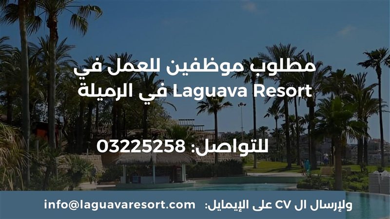 صيدا اون لاين