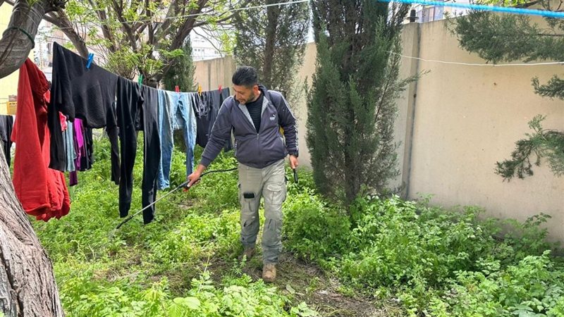 صيدا اون لاين