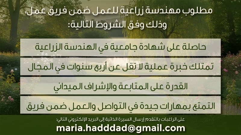 صيدا اون لاين