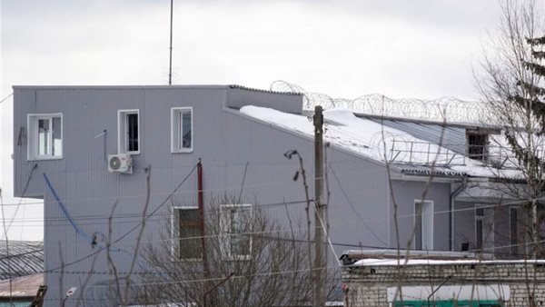 صيدا اون لاين