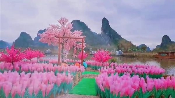 صيدا اون لاين