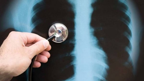 صيدا اون لاين