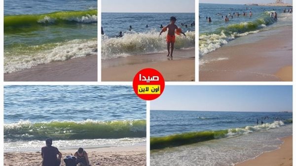 صيدا اون لاين