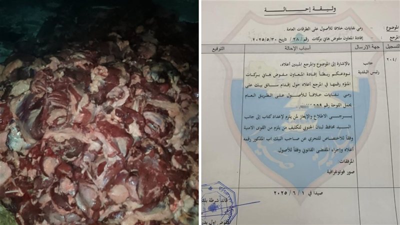 صيدا اون لاين