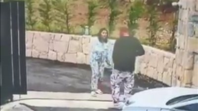 فيديو صادم يظهر اعتداء دكتور فود على شروق خلال حملها.. والأخير يرد