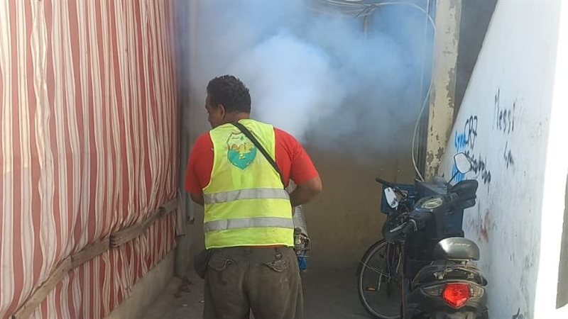 صيدا اون لاين