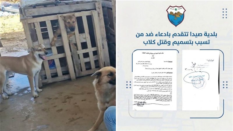 صيدا اون لاين
