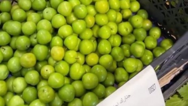 صيدا اون لاين