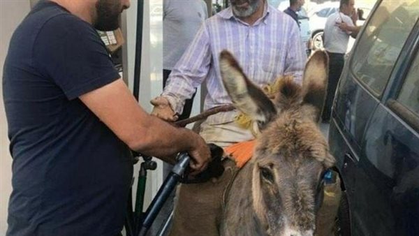 صيدا اون لاين