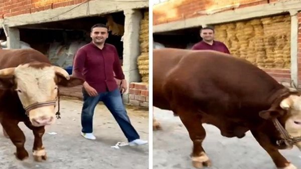 صيدا اون لاين