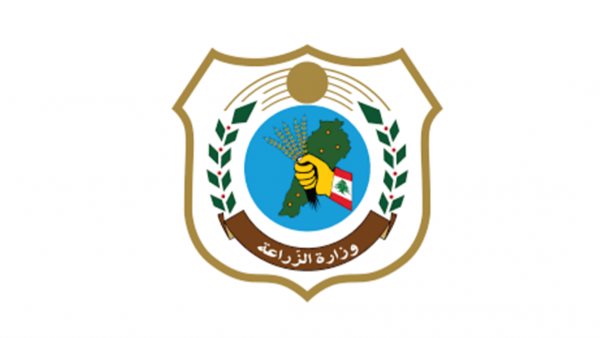 صيدا اون لاين