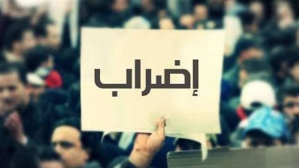 صيدا اون لاين