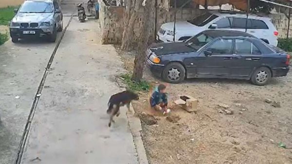 صيدا اون لاين