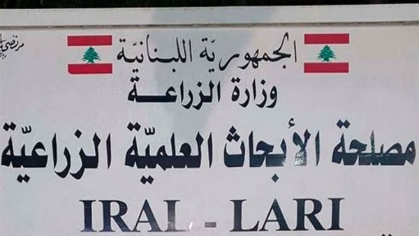 صيدا اون لاين
