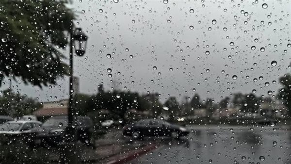 صيدا اون لاين