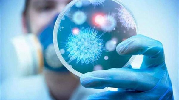 صيدا اون لاين