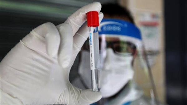 صيدا اون لاين