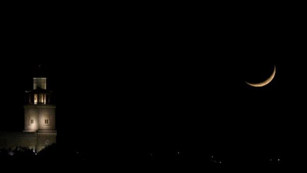 صيدا اون لاين