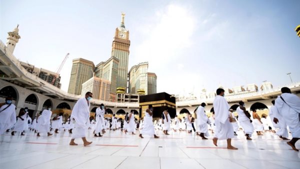 صيدا اون لاين