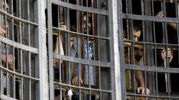 صيدا اون لاين